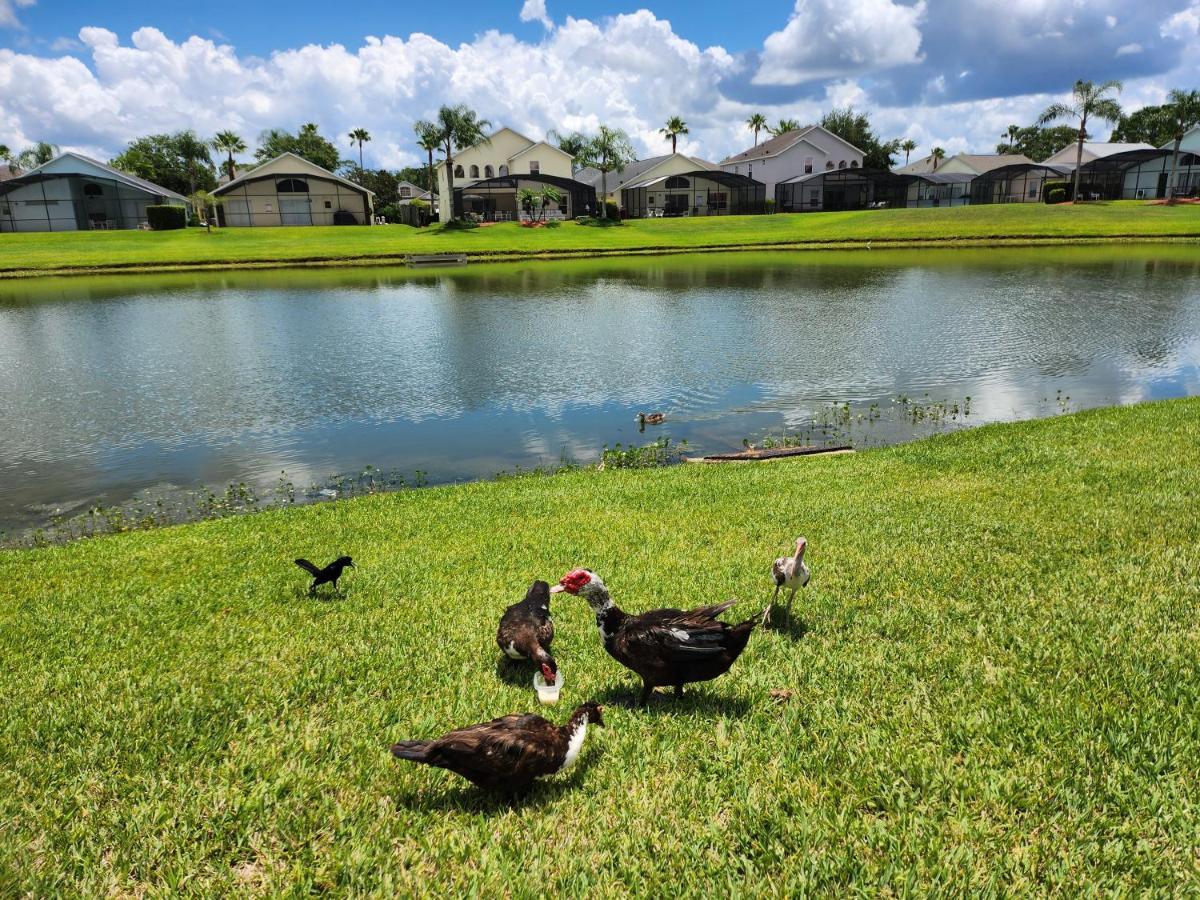 Fully Renovated, Quiet, Spacious Disney Themed Pool Home With Office Kissimmee Dış mekan fotoğraf